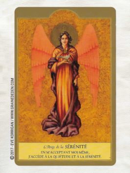 Les Anges Cartes Oracle de Ambika Wauters - Graine d'Eden Développement personnel, spiritualité, tarots et oracles divinatoires, Bibliothèques des Oracles, avis, présentation, review , revue