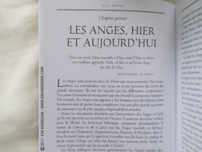 Les Anges Cartes Oracle de Ambika Wauters - Graine d'Eden Développement personnel, spiritualité, tarots et oracles divinatoires, Bibliothèques des Oracles, avis, présentation, review , revue