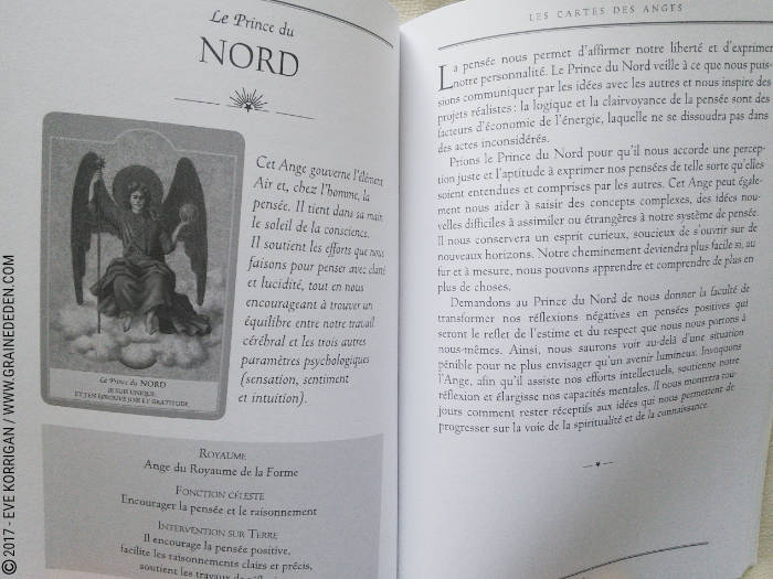 Les Anges Cartes Oracle de Ambika Wauters - Graine d'Eden Développement personnel, spiritualité, tarots et oracles divinatoires, Bibliothèques des Oracles, avis, présentation, review , revue