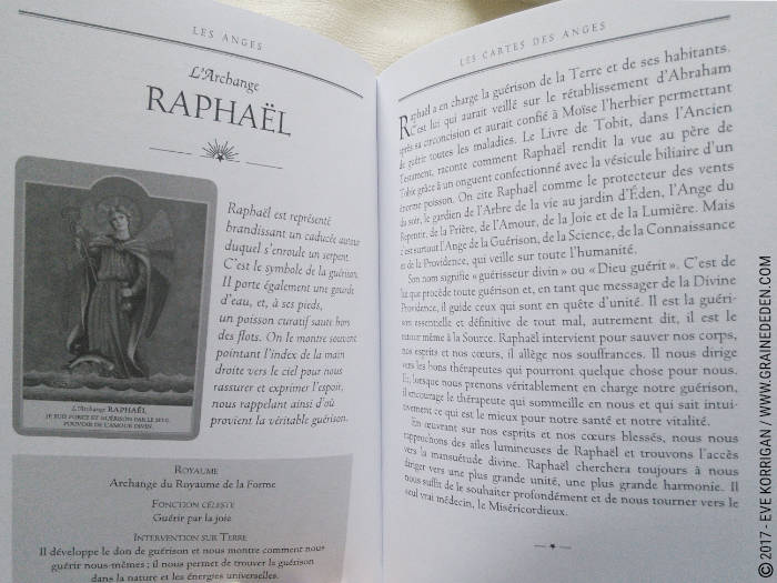 Les Anges Cartes Oracle de Ambika Wauters - Graine d'Eden Développement personnel, spiritualité, tarots et oracles divinatoires, Bibliothèques des Oracles, avis, présentation, review , revue