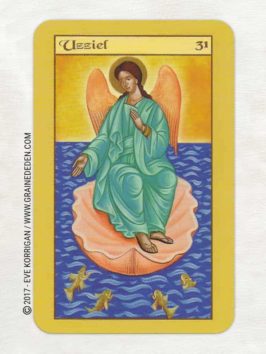 Les Cartes des Anges de Pia Schneider et Ruth Kendell - Graine d'Eden Développement personnel, spiritualité, tarots et oracles divinatoires, Bibliothèques des Oracles, avis, présentation, review , revue