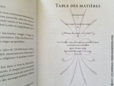 Les Cartes des Anges de Pia Schneider et Ruth Kendell - Graine d'Eden Développement personnel, spiritualité, tarots et oracles divinatoires, Bibliothèques des Oracles, avis, présentation, review , revue