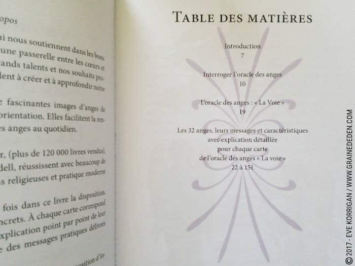 Les Cartes des Anges de Pia Schneider et Ruth Kendell - Graine d'Eden Développement personnel, spiritualité, tarots et oracles divinatoires, Bibliothèques des Oracles, avis, présentation, review , revue