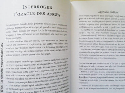 Les Cartes des Anges de Pia Schneider et Ruth Kendell - Graine d'Eden Développement personnel, spiritualité, tarots et oracles divinatoires, Bibliothèques des Oracles, avis, présentation, review , revue