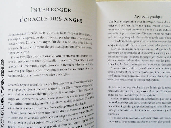 Les Cartes des Anges de Pia Schneider et Ruth Kendell - Graine d'Eden Développement personnel, spiritualité, tarots et oracles divinatoires, Bibliothèques des Oracles, avis, présentation, review , revue