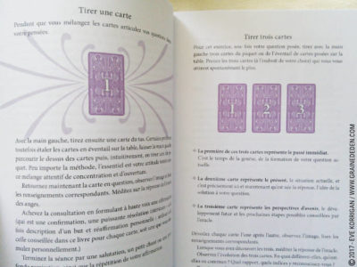 Les Cartes des Anges de Pia Schneider et Ruth Kendell - Graine d'Eden Développement personnel, spiritualité, tarots et oracles divinatoires, Bibliothèques des Oracles, avis, présentation, review , revue