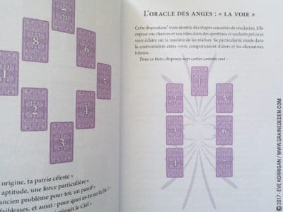 Les Cartes des Anges de Pia Schneider et Ruth Kendell - Graine d'Eden Développement personnel, spiritualité, tarots et oracles divinatoires, Bibliothèques des Oracles, avis, présentation, review , revue