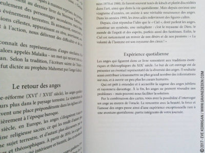 Les Cartes des Anges de Pia Schneider et Ruth Kendell - Graine d'Eden Développement personnel, spiritualité, tarots et oracles divinatoires, Bibliothèques des Oracles, avis, présentation, review , revue