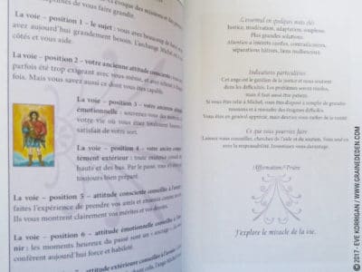 Les Cartes des Anges de Pia Schneider et Ruth Kendell - Graine d'Eden Développement personnel, spiritualité, tarots et oracles divinatoires, Bibliothèques des Oracles, avis, présentation, review , revue