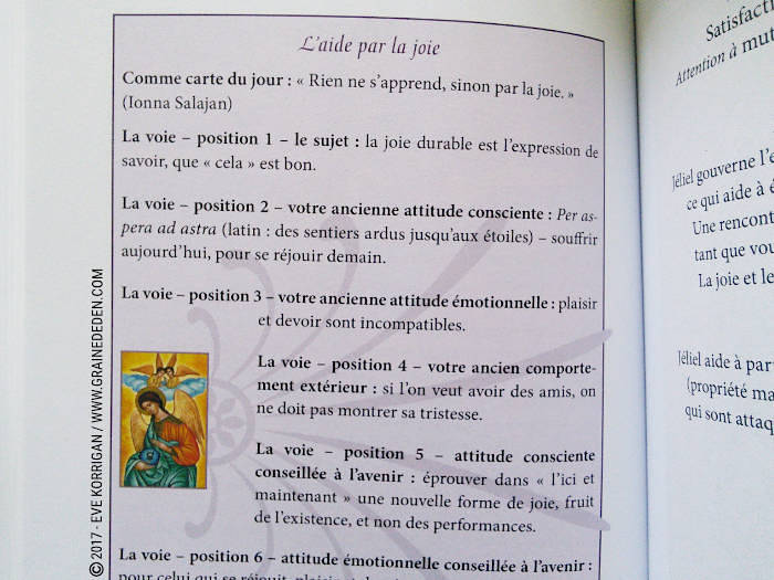 Les Cartes des Anges de Pia Schneider et Ruth Kendell - Graine d'Eden Développement personnel, spiritualité, tarots et oracles divinatoires, Bibliothèques des Oracles, avis, présentation, review , revue