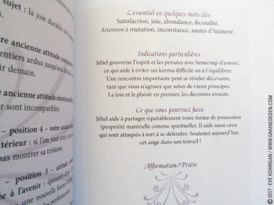 Les Cartes des Anges de Pia Schneider et Ruth Kendell - Graine d'Eden Développement personnel, spiritualité, tarots et oracles divinatoires, Bibliothèques des Oracles, avis, présentation, review , revue