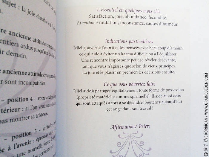 Les Cartes des Anges de Pia Schneider et Ruth Kendell - Graine d'Eden Développement personnel, spiritualité, tarots et oracles divinatoires, Bibliothèques des Oracles, avis, présentation, review , revue