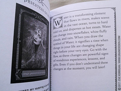 Wisdom of the House of Night Oracle Cards de Colette Baron-Reid et Jena DellaGrottaglia - Graine d'Eden Développement personnel, spiritualité, tarots et oracles divinatoires, Bibliothèques des Oracles, avis, présentation, review , revue