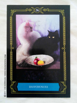 Wisdom of the House of Night Oracle Cards de Colette Baron-Reid et Jena DellaGrottaglia - Graine d'Eden Développement personnel, spiritualité, tarots et oracles divinatoires, Bibliothèques des Oracles, avis, présentation, review , revue