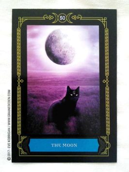 Wisdom of the House of Night Oracle Cards de Colette Baron-Reid et Jena DellaGrottaglia - Graine d'Eden Développement personnel, spiritualité, tarots et oracles divinatoires, Bibliothèques des Oracles, avis, présentation, review , revue