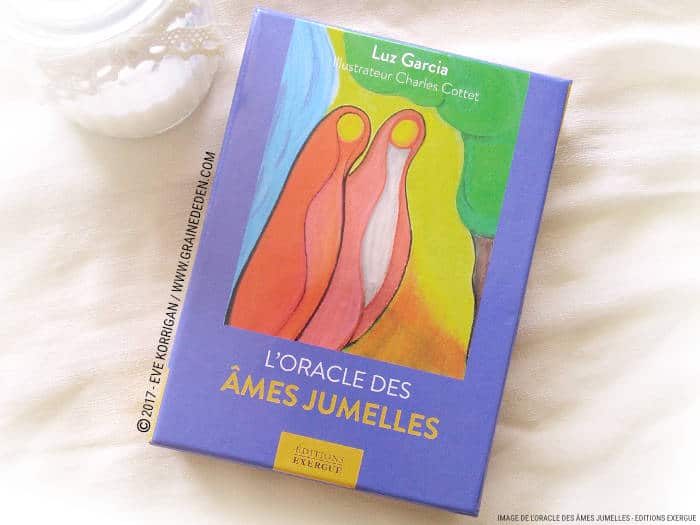 L Oracle Des Ames Jumelles De Luz Garcia Avis Et Review