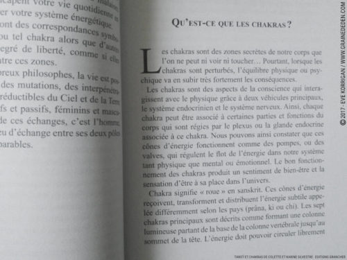 Livre Tarot et Chakras de Colette et Karine Silvestre Review - Graine d'Eden Développement personnel, spiritualité, tarots et oracles divinatoires, livres de développement personnel - avis, présentation, review , revue