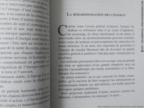 Livre Tarot et Chakras de Colette et Karine Silvestre Review - Graine d'Eden Développement personnel, spiritualité, tarots et oracles divinatoires, livres de développement personnel - avis, présentation, review , revue