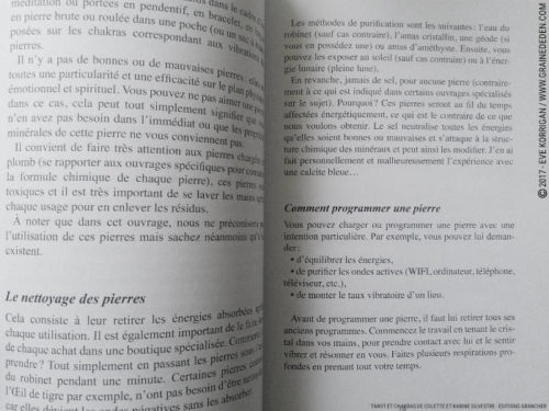 Livre Tarot et Chakras de Colette et Karine Silvestre Review - Graine d'Eden Développement personnel, spiritualité, tarots et oracles divinatoires, livres de développement personnel - avis, présentation, review , revue