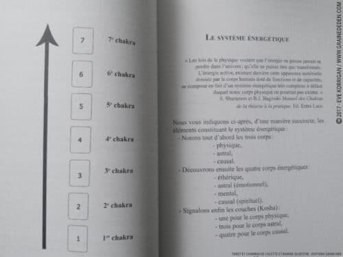 Livre Tarot et Chakras de Colette et Karine Silvestre Review - Graine d'Eden Développement personnel, spiritualité, tarots et oracles divinatoires, livres de développement personnel - avis, présentation, review , revue