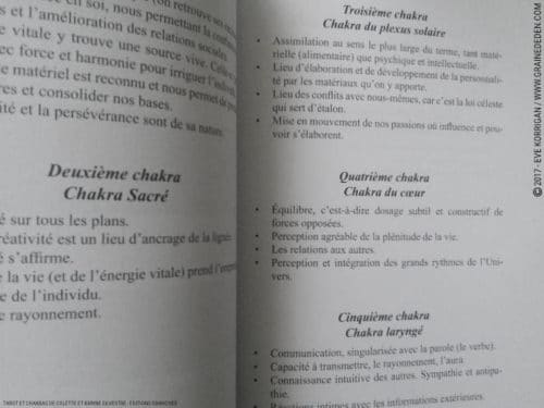 Livre Tarot et Chakras de Colette et Karine Silvestre Review - Graine d'Eden Développement personnel, spiritualité, tarots et oracles divinatoires, livres de développement personnel - avis, présentation, review , revue