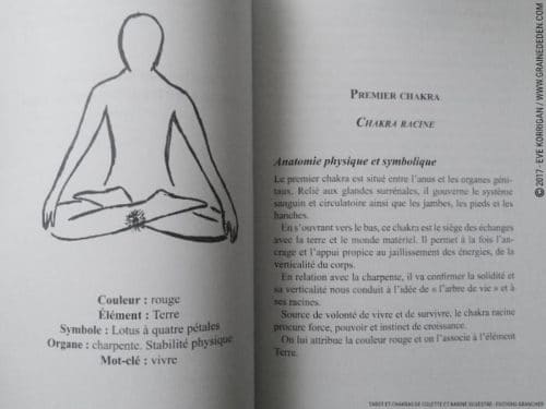 Livre Tarot et Chakras de Colette et Karine Silvestre Review - Graine d'Eden Développement personnel, spiritualité, tarots et oracles divinatoires, livres de développement personnel - avis, présentation, review , revue