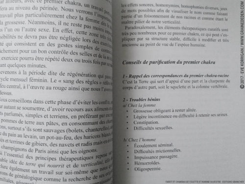 Livre Tarot et Chakras de Colette et Karine Silvestre Review - Graine d'Eden Développement personnel, spiritualité, tarots et oracles divinatoires, livres de développement personnel - avis, présentation, review , revue