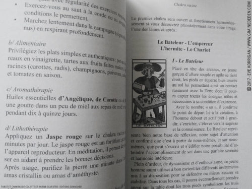 Livre Tarot et Chakras de Colette et Karine Silvestre Review - Graine d'Eden Développement personnel, spiritualité, tarots et oracles divinatoires, livres de développement personnel - avis, présentation, review , revue