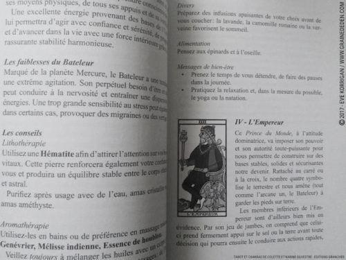 Livre Tarot et Chakras de Colette et Karine Silvestre Review - Graine d'Eden Développement personnel, spiritualité, tarots et oracles divinatoires, livres de développement personnel - avis, présentation, review , revue