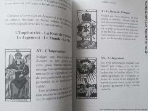 Livre Tarot et Chakras de Colette et Karine Silvestre Review - Graine d'Eden Développement personnel, spiritualité, tarots et oracles divinatoires, livres de développement personnel - avis, présentation, review , revue