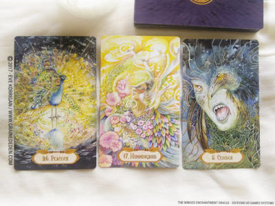 The Winged Enchantment Oracle Deck de Lisa Hunt et Lesley Morrison - Graine d'Eden Développement personnel, spiritualité, tarots et oracles divinatoires, Bibliothèques des Oracles, avis, présentation, review , revue