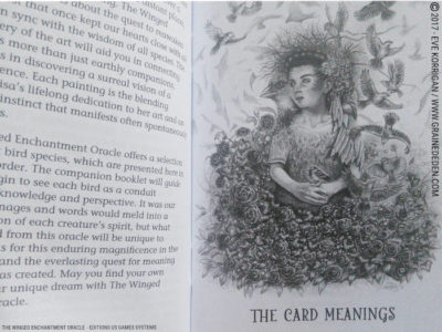 The Winged Enchantment Oracle Deck de Lisa Hunt et Lesley Morrison - Graine d'Eden Développement personnel, spiritualité, tarots et oracles divinatoires, Bibliothèques des Oracles, avis, présentation, review , revue