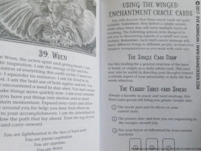 The Winged Enchantment Oracle Deck de Lisa Hunt et Lesley Morrison - Graine d'Eden Développement personnel, spiritualité, tarots et oracles divinatoires, Bibliothèques des Oracles, avis, présentation, review , revue