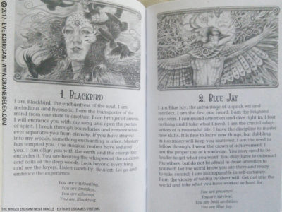 The Winged Enchantment Oracle Deck de Lisa Hunt et Lesley Morrison - Graine d'Eden Développement personnel, spiritualité, tarots et oracles divinatoires, Bibliothèques des Oracles, avis, présentation, review , revue