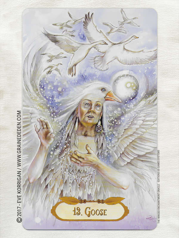 The Winged Enchantment Oracle Deck de Lisa Hunt et Lesley Morrison - Graine d'Eden Développement personnel, spiritualité, tarots et oracles divinatoires, Bibliothèques des Oracles, avis, présentation, review , revue