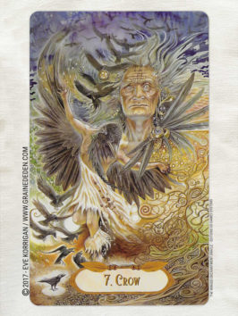 The Winged Enchantment Oracle Deck de Lisa Hunt et Lesley Morrison - Graine d'Eden Développement personnel, spiritualité, tarots et oracles divinatoires, Bibliothèques des Oracles, avis, présentation, review , revue