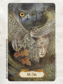 The Winged Enchantment Oracle Deck de Lisa Hunt et Lesley Morrison - Graine d'Eden Développement personnel, spiritualité, tarots et oracles divinatoires, Bibliothèques des Oracles, avis, présentation, review , revue