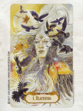 The Winged Enchantment Oracle Deck de Lisa Hunt et Lesley Morrison - Graine d'Eden Développement personnel, spiritualité, tarots et oracles divinatoires, Bibliothèques des Oracles, avis, présentation, review , revue