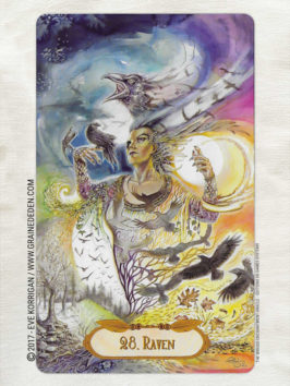 The Winged Enchantment Oracle Deck de Lisa Hunt et Lesley Morrison - Graine d'Eden Développement personnel, spiritualité, tarots et oracles divinatoires, Bibliothèques des Oracles, avis, présentation, review , revue