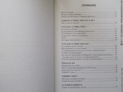 Tribal Tarot de Delphine Lhuillier - Graine d'Eden Développement personnel, spiritualité, tarots et oracles divinatoires, Bibliothèques des Oracles, avis, présentation, review , revue