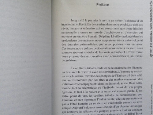 Tribal Tarot de Delphine Lhuillier - Graine d'Eden Développement personnel, spiritualité, tarots et oracles divinatoires, Bibliothèques des Oracles, avis, présentation, review , revue