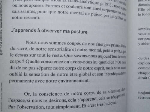 Tribal Tarot de Delphine Lhuillier - Graine d'Eden Développement personnel, spiritualité, tarots et oracles divinatoires, Bibliothèques des Oracles, avis, présentation, review , revue