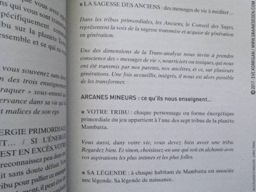 Tribal Tarot de Delphine Lhuillier - Graine d'Eden Développement personnel, spiritualité, tarots et oracles divinatoires, Bibliothèques des Oracles, avis, présentation, review , revue