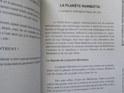 Tribal Tarot de Delphine Lhuillier - Graine d'Eden Développement personnel, spiritualité, tarots et oracles divinatoires, Bibliothèques des Oracles, avis, présentation, review , revue