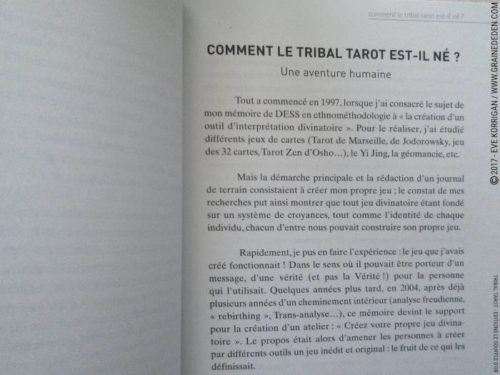 Tribal Tarot de Delphine Lhuillier - Graine d'Eden Développement personnel, spiritualité, tarots et oracles divinatoires, Bibliothèques des Oracles, avis, présentation, review , revue