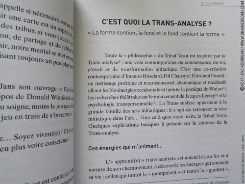 Tribal Tarot de Delphine Lhuillier - Graine d'Eden Développement personnel, spiritualité, tarots et oracles divinatoires, Bibliothèques des Oracles, avis, présentation, review , revue