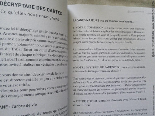 Tribal Tarot de Delphine Lhuillier - Graine d'Eden Développement personnel, spiritualité, tarots et oracles divinatoires, Bibliothèques des Oracles, avis, présentation, review , revue