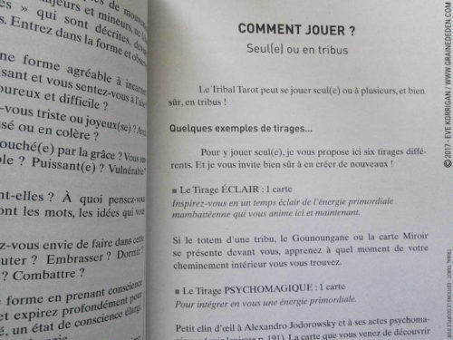 Tribal Tarot de Delphine Lhuillier - Graine d'Eden Développement personnel, spiritualité, tarots et oracles divinatoires, Bibliothèques des Oracles, avis, présentation, review , revue