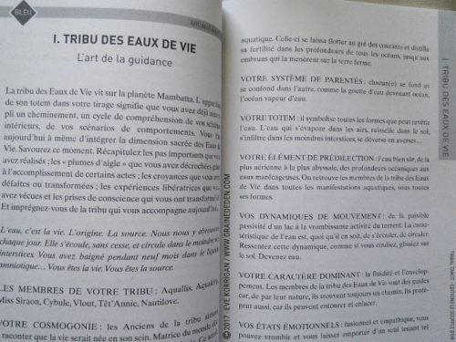 Tribal Tarot de Delphine Lhuillier - Graine d'Eden Développement personnel, spiritualité, tarots et oracles divinatoires, Bibliothèques des Oracles, avis, présentation, review , revue