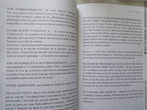 Tribal Tarot de Delphine Lhuillier - Graine d'Eden Développement personnel, spiritualité, tarots et oracles divinatoires, Bibliothèques des Oracles, avis, présentation, review , revue